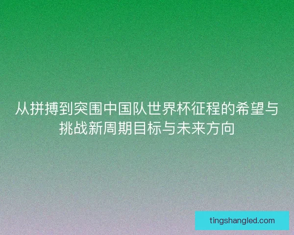从拼搏到突围中国队世界杯征程的希望与挑战新周期目标与未来方向