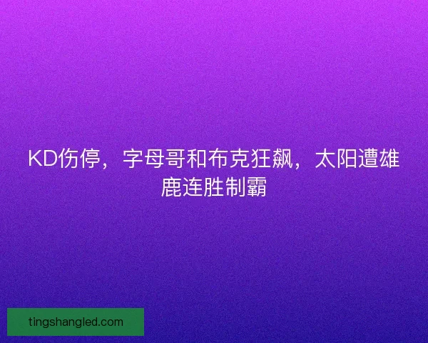 KD伤停，字母哥和布克狂飙，太阳遭雄鹿连胜制霸